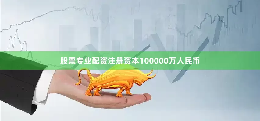 股票专业配资注册资本100000万人民币