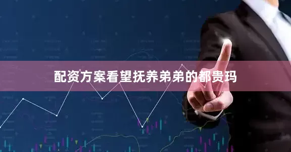 配资方案看望抚养弟弟的都贵玛
